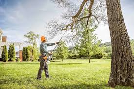 Best Tree Disease Treatment  in Middleton, WI